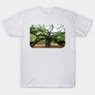 The Angel Oak Tree in South Carolina T-Shirt